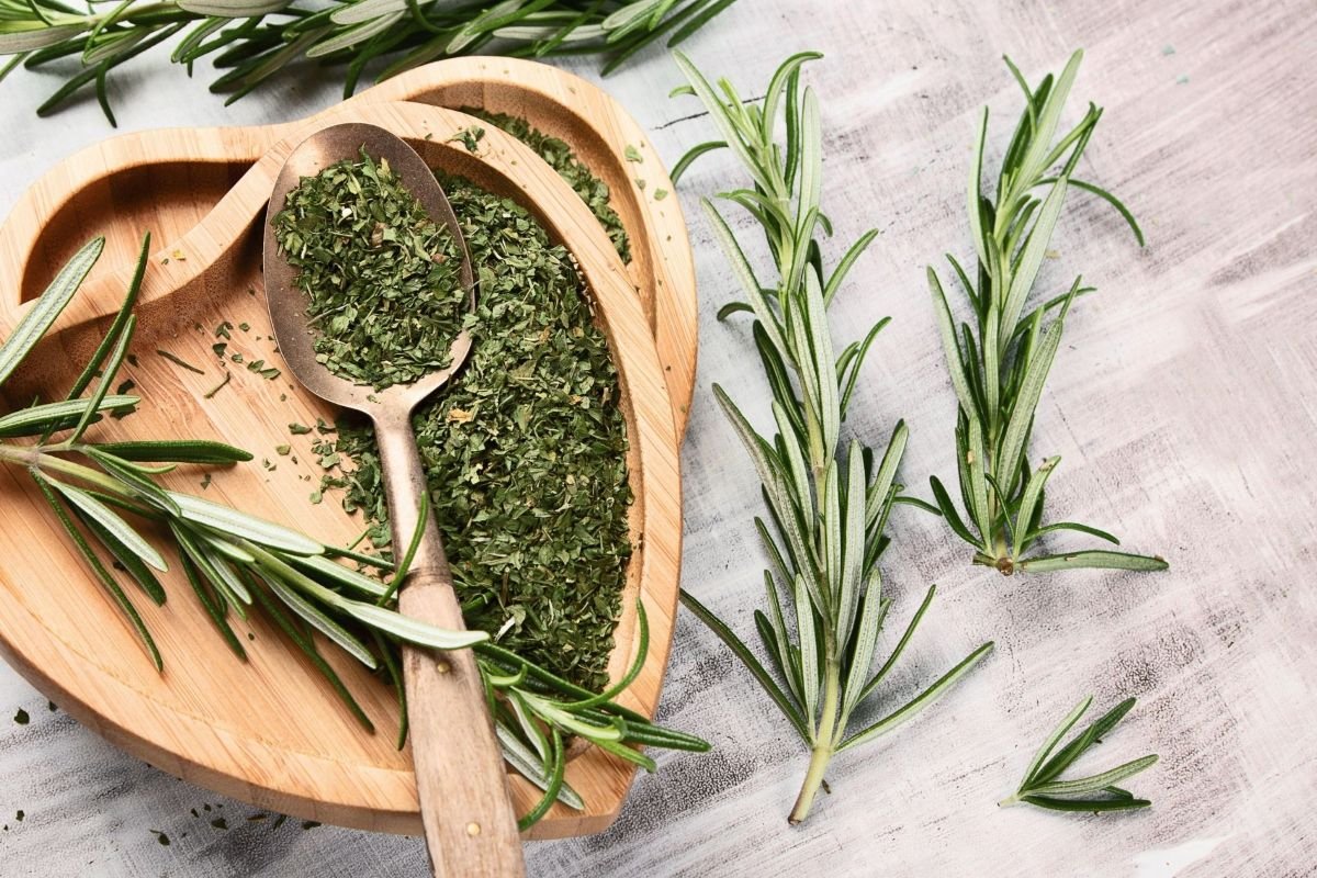 Rosemary in Witchcraft sm